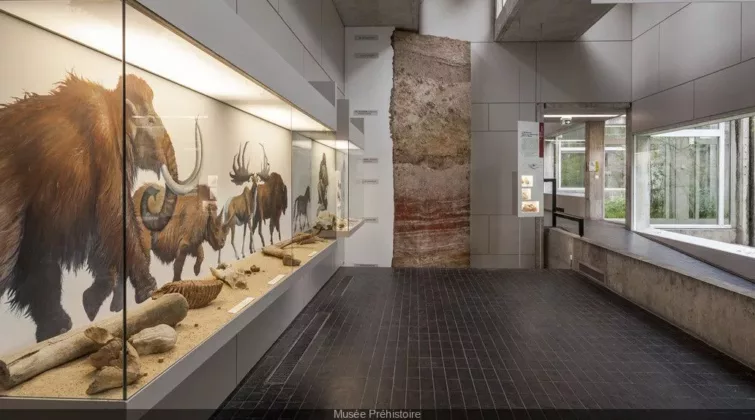vue intérieure du musée de préhistoire
