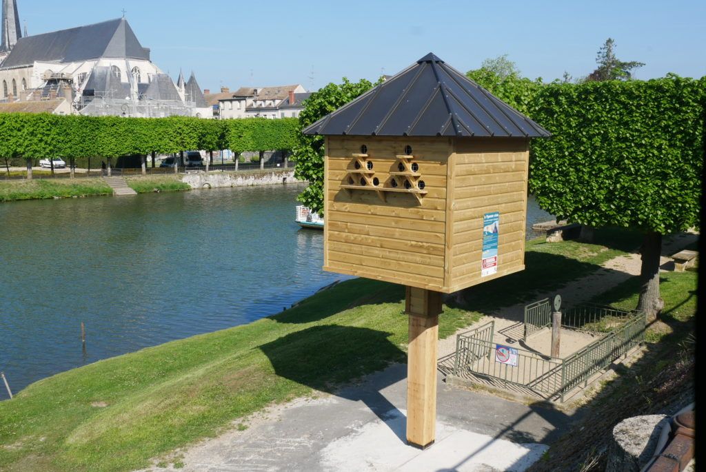 Pigeonnier contraceptif quai des tanneurs nemours