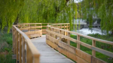 plateforme en bois entourée de verdure de l'ile du perthuis à nemours