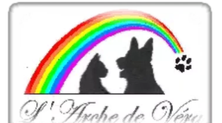logo de l'association Arche de Véra avec un chien, un chat et un arc en ciel