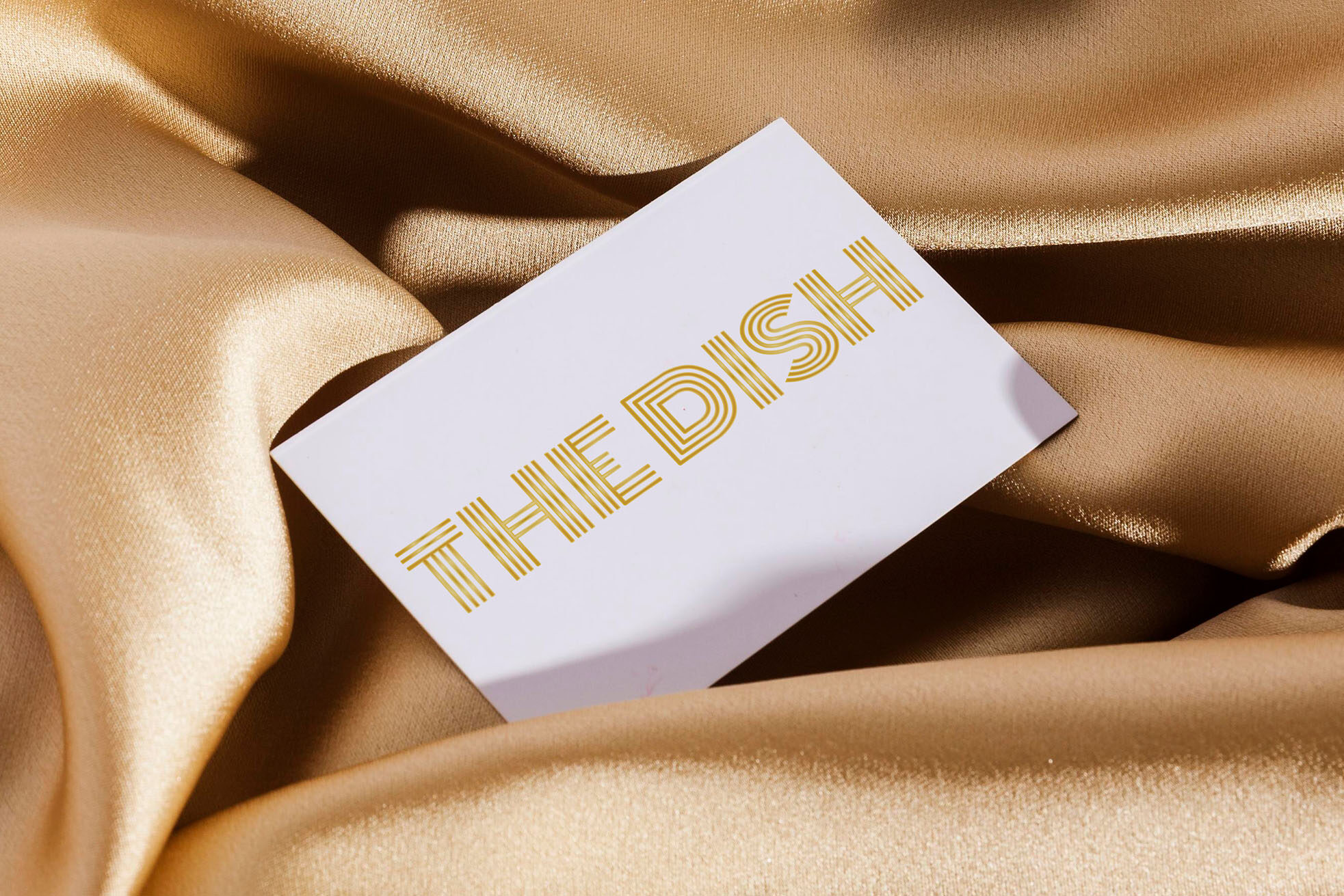 logo THE DISH