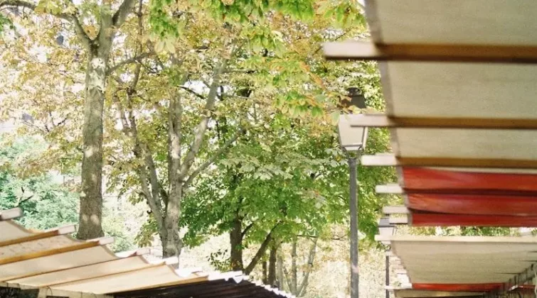 marché en pleine aire, avec des personnes qui circule a pieds.