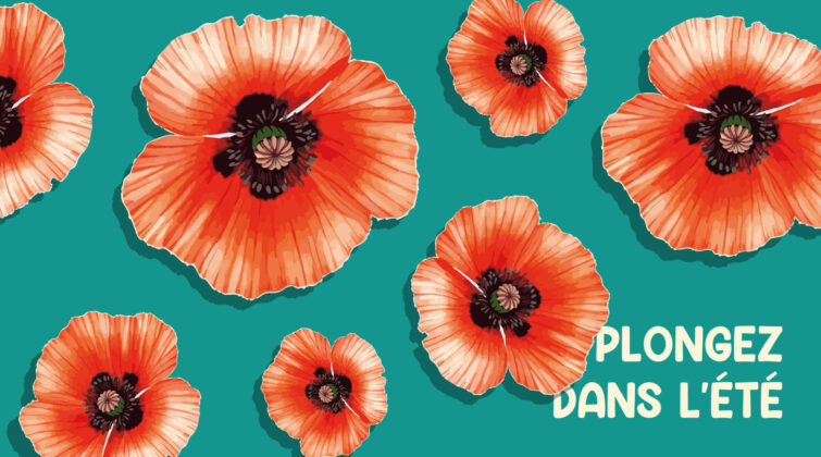 coquelicots sur fond turquoise