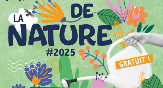 Affiche fête de la nature à Nemours