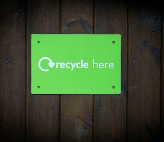 a green recycle here sign on a wooden wall