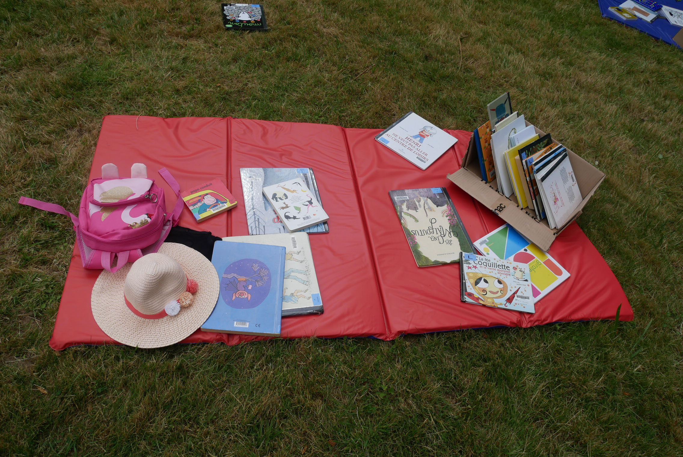 ramn les livres, livres posés en plein air