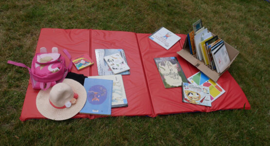 ramn les livres, livres posés en plein air